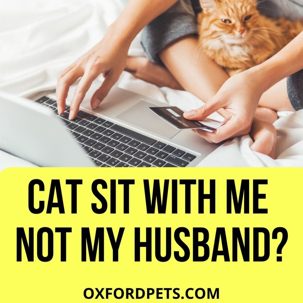 Why Does My Cat Sit With Me And Not My Husband