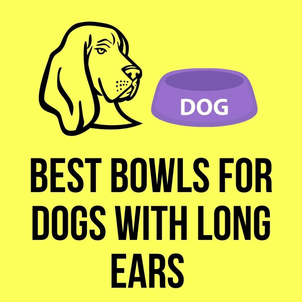 Top 10 Best Bowls For Dogs With Long Ears