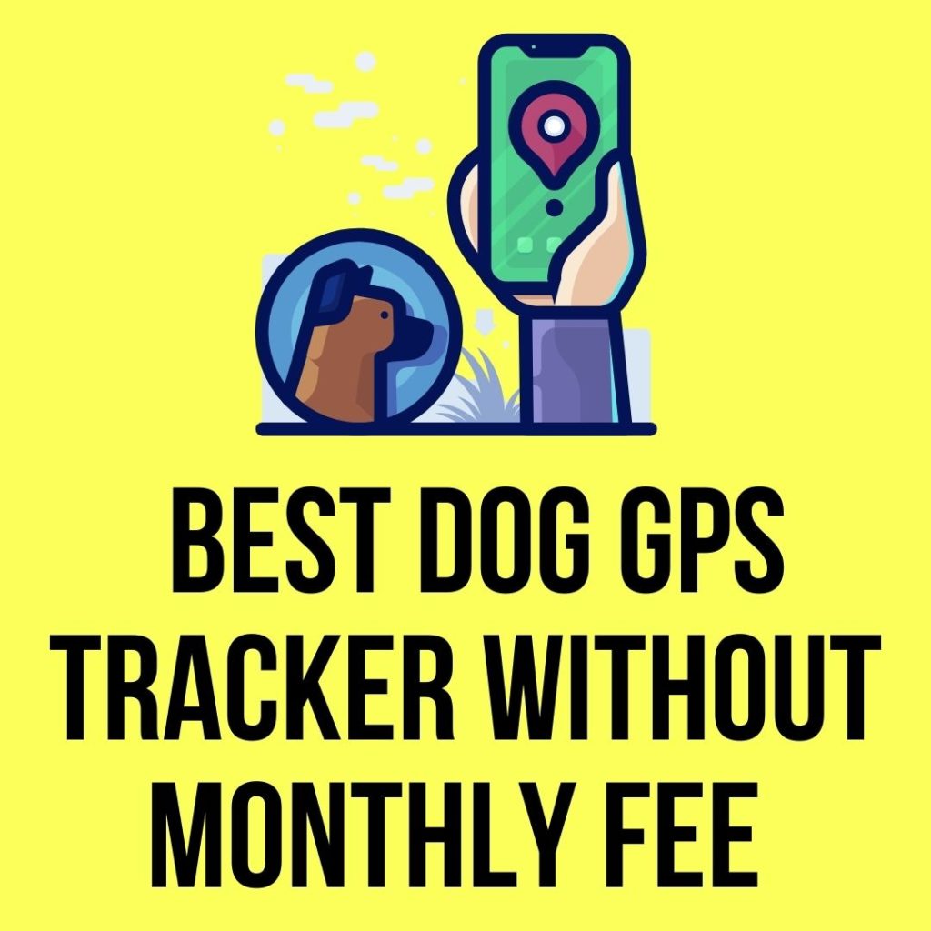 Dog Gps Tracker Without Monthly Fee