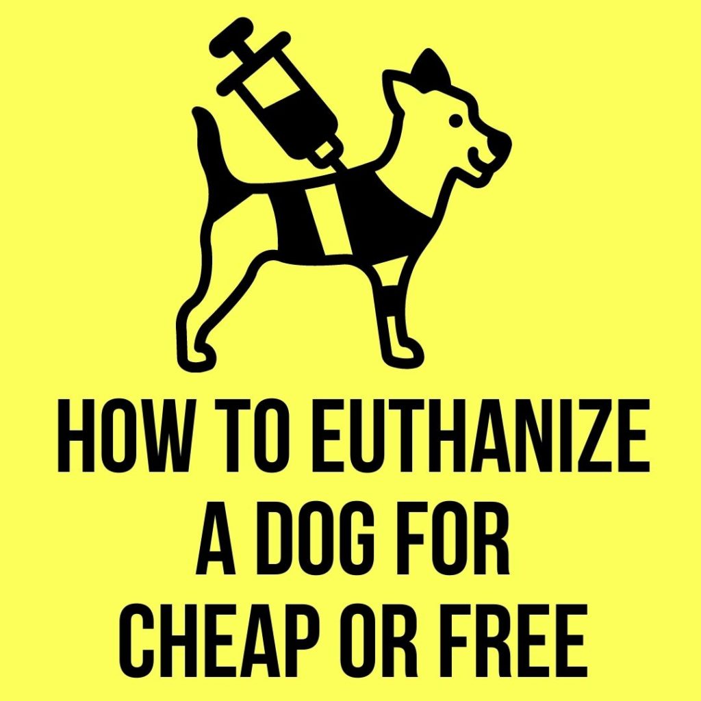 euthanize a dog for cheap or free