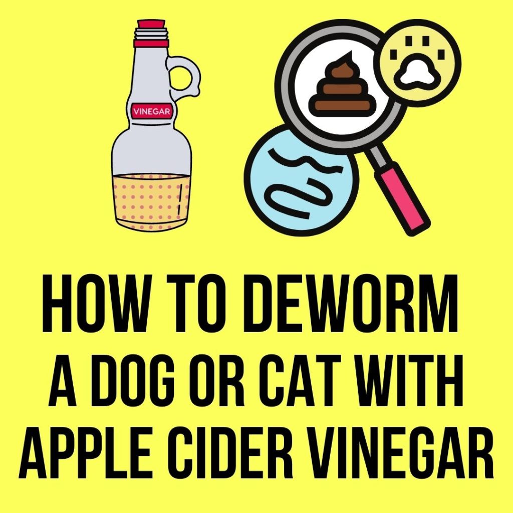How to deworm a dog or cat with apple cider vinegar