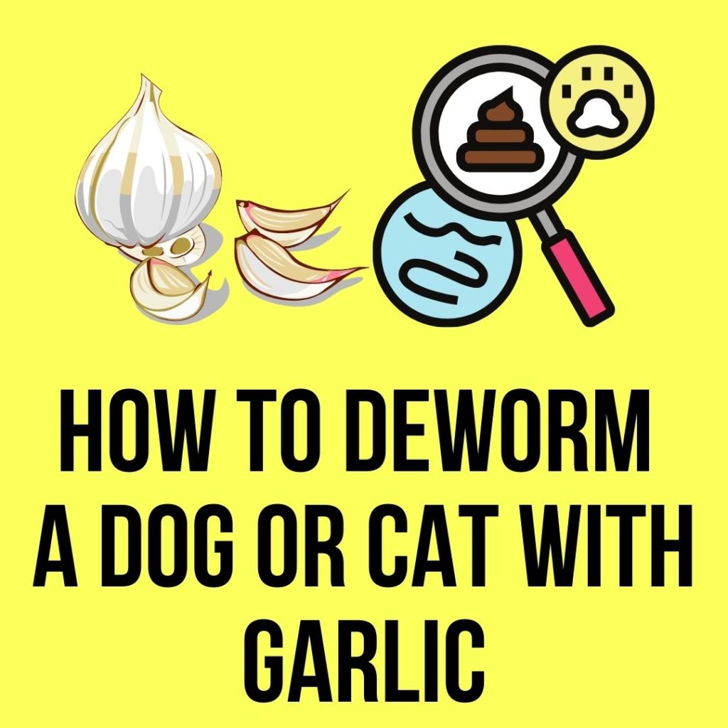 how to deworm a dog or cat with garlic