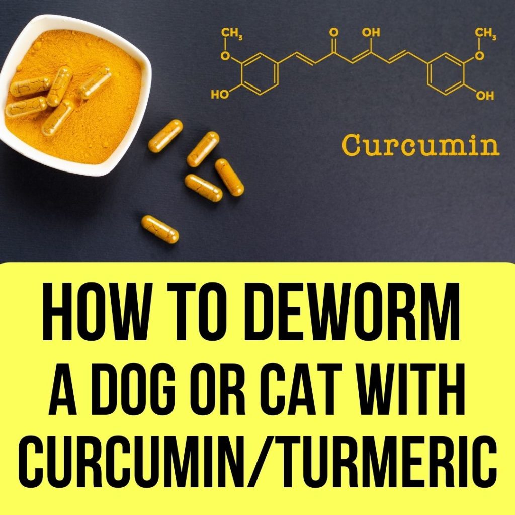 Deworm A Cat or Dog With Turmeric