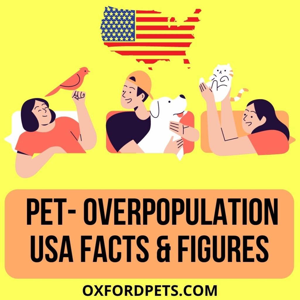 Animal Overpopulation United States Facts and Figures