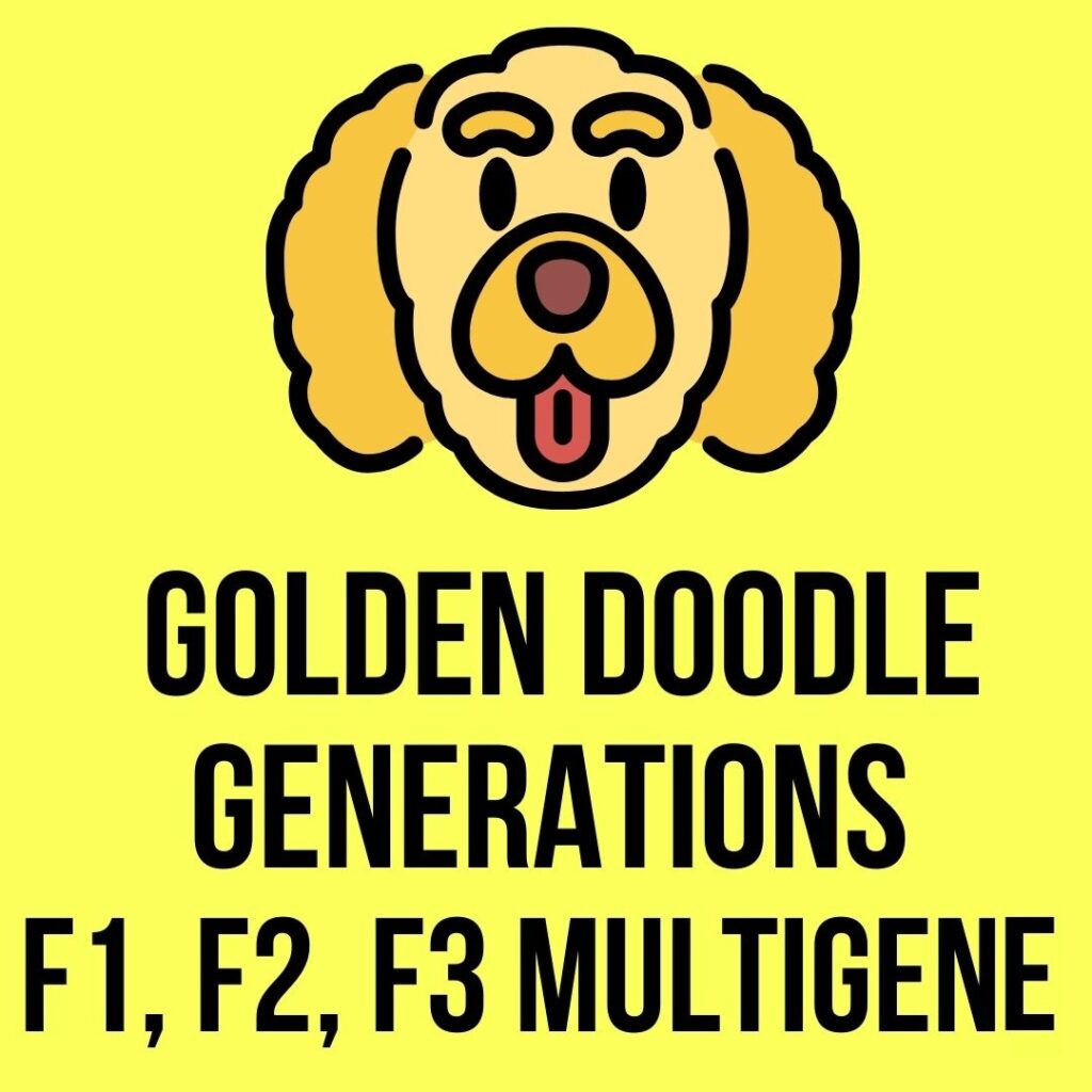 What Does F2 Mean In Dogs