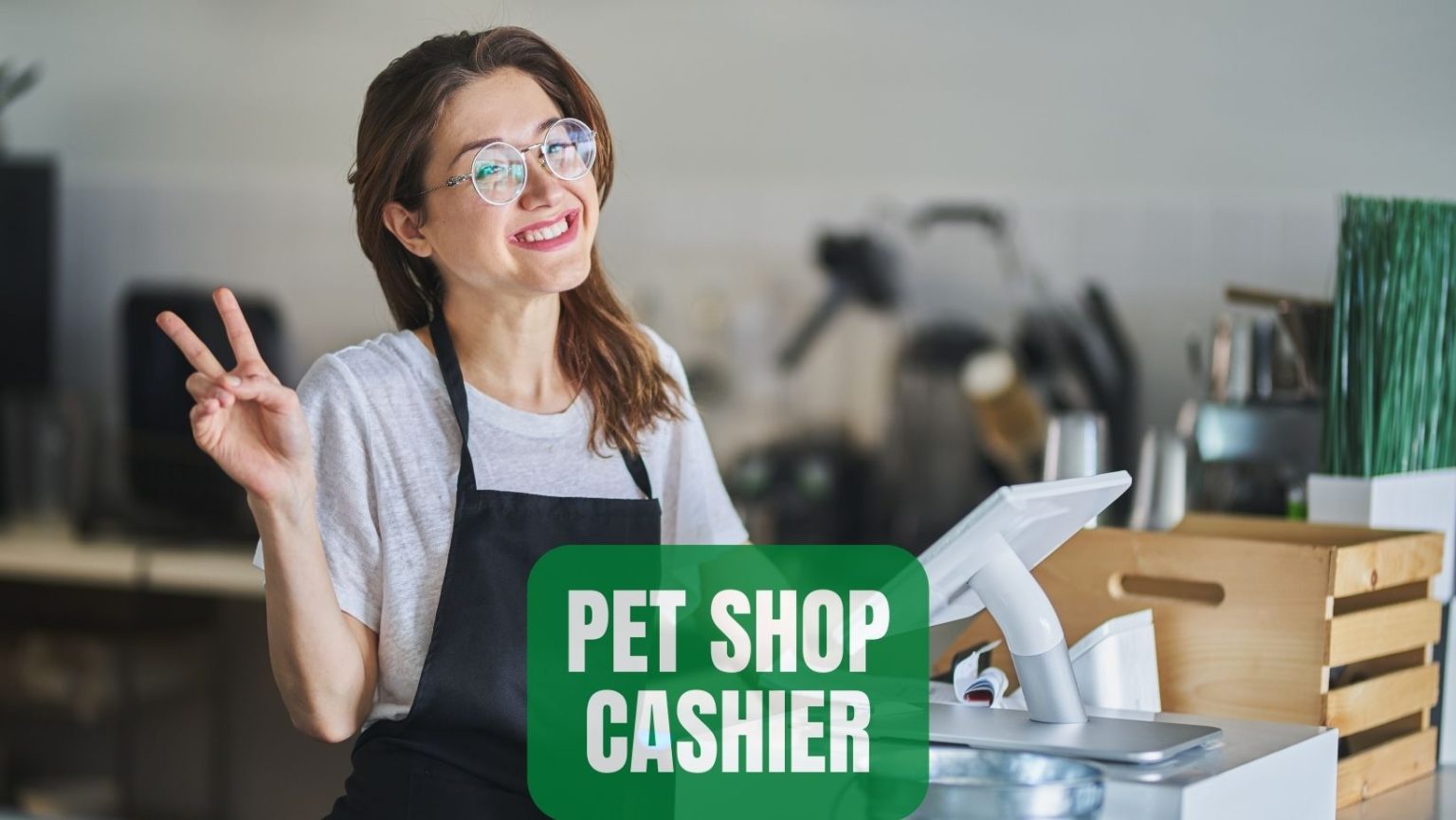 How To Get a Job at Petco? Petco Careers In 2022 Oxford Pets