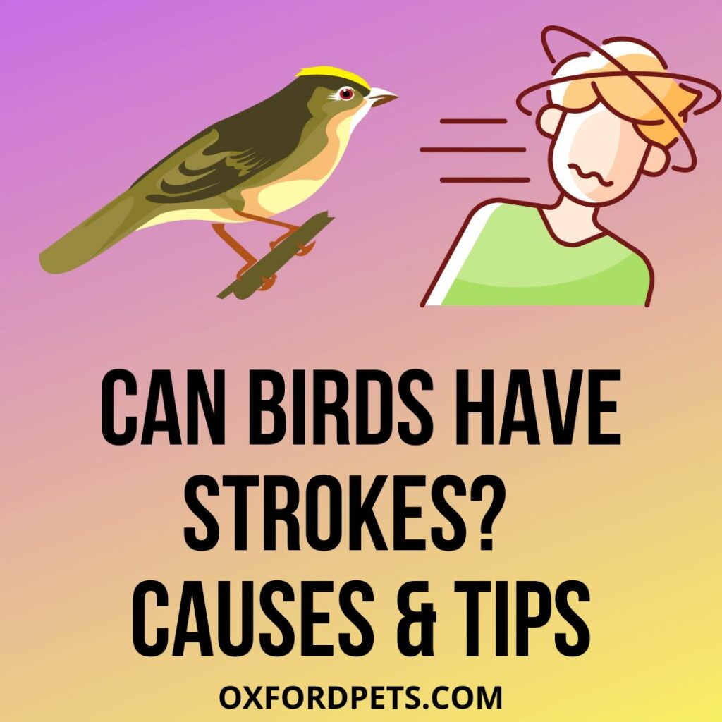 Can Birds Have Strokes