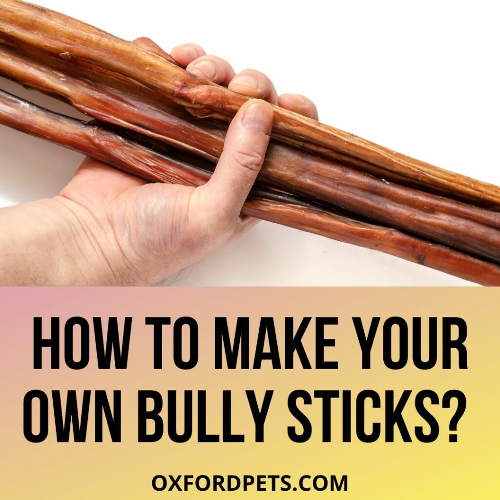 How To Make Your Own Bully Sticks