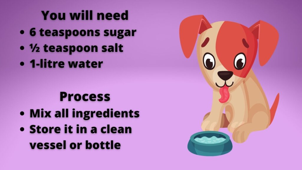 Can You Give A Dog Sugar Water