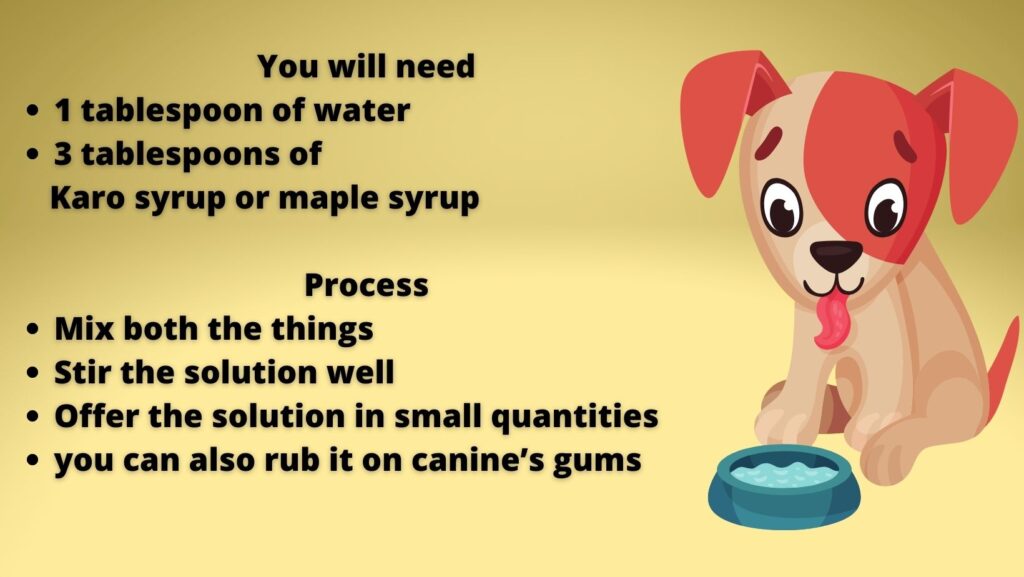 can-you-give-a-dog-sugar-water