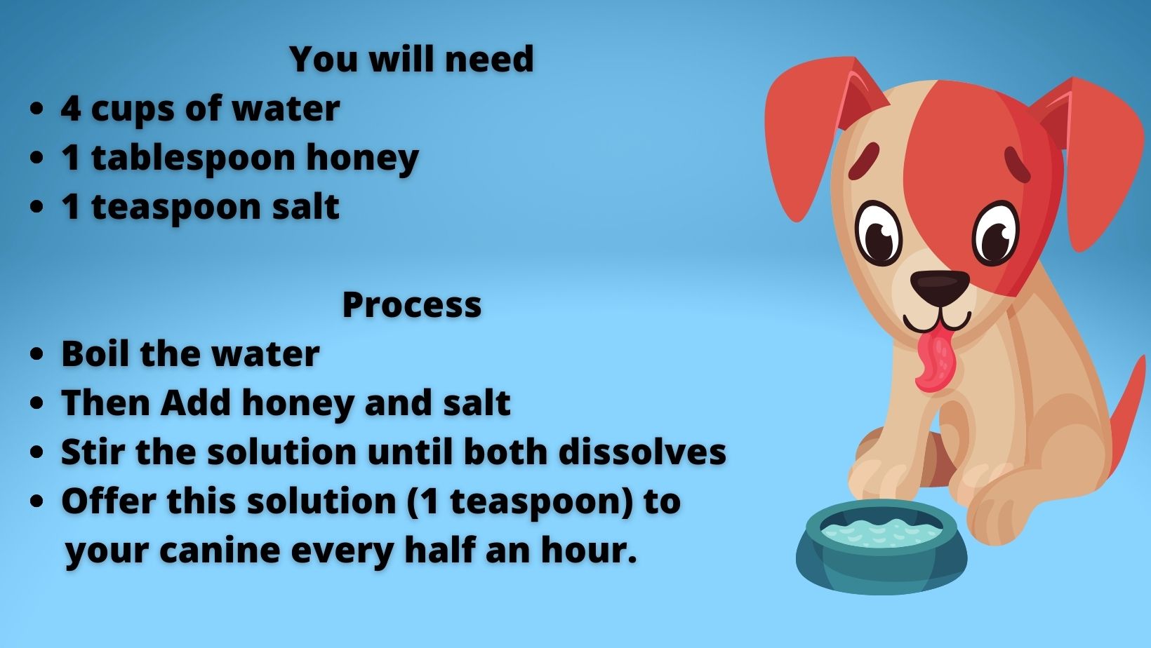 Making Sugar Water For Dogs And Puppies? 4 Unique Recipes Oxford Pets