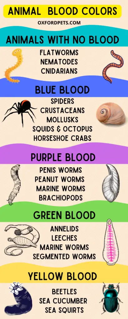 Animal blood colors