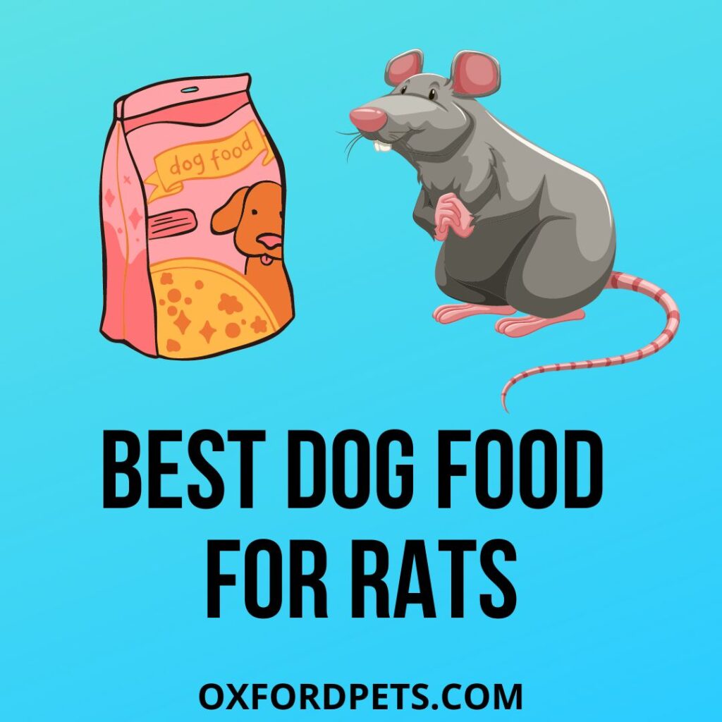 6 Best Dog Food For Rats 2022 Updated List Oxford Pets