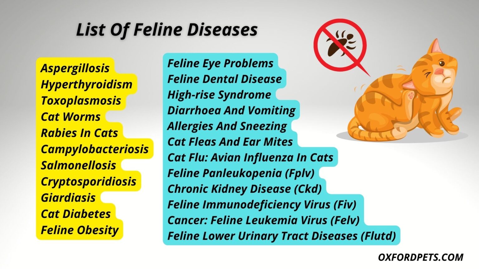 Curated visual reference: Cats Feline Leukemia And Muscular Atrophy Reference: 7 Most Common Disease In Cats 2024 Updated List