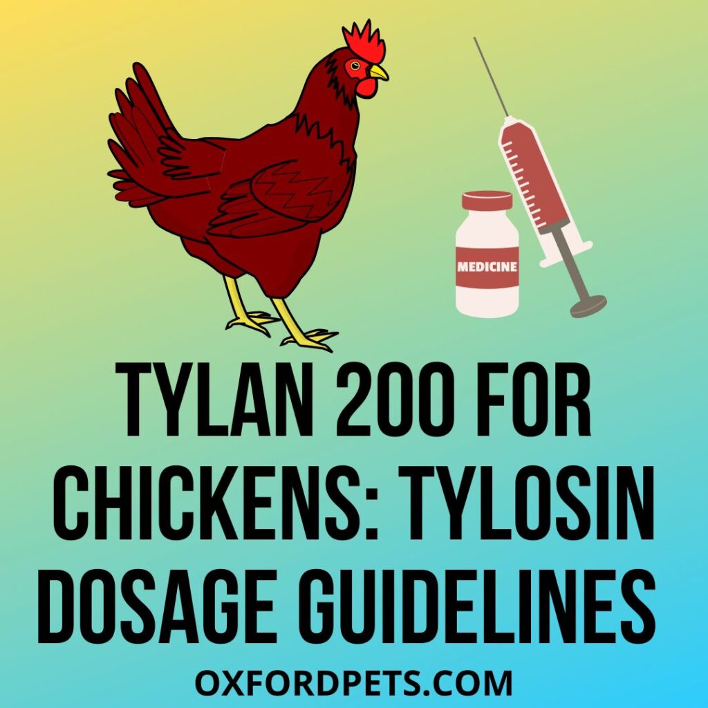 Tylan 200 For Chickens: Tylosin Dosage Guidelines 101