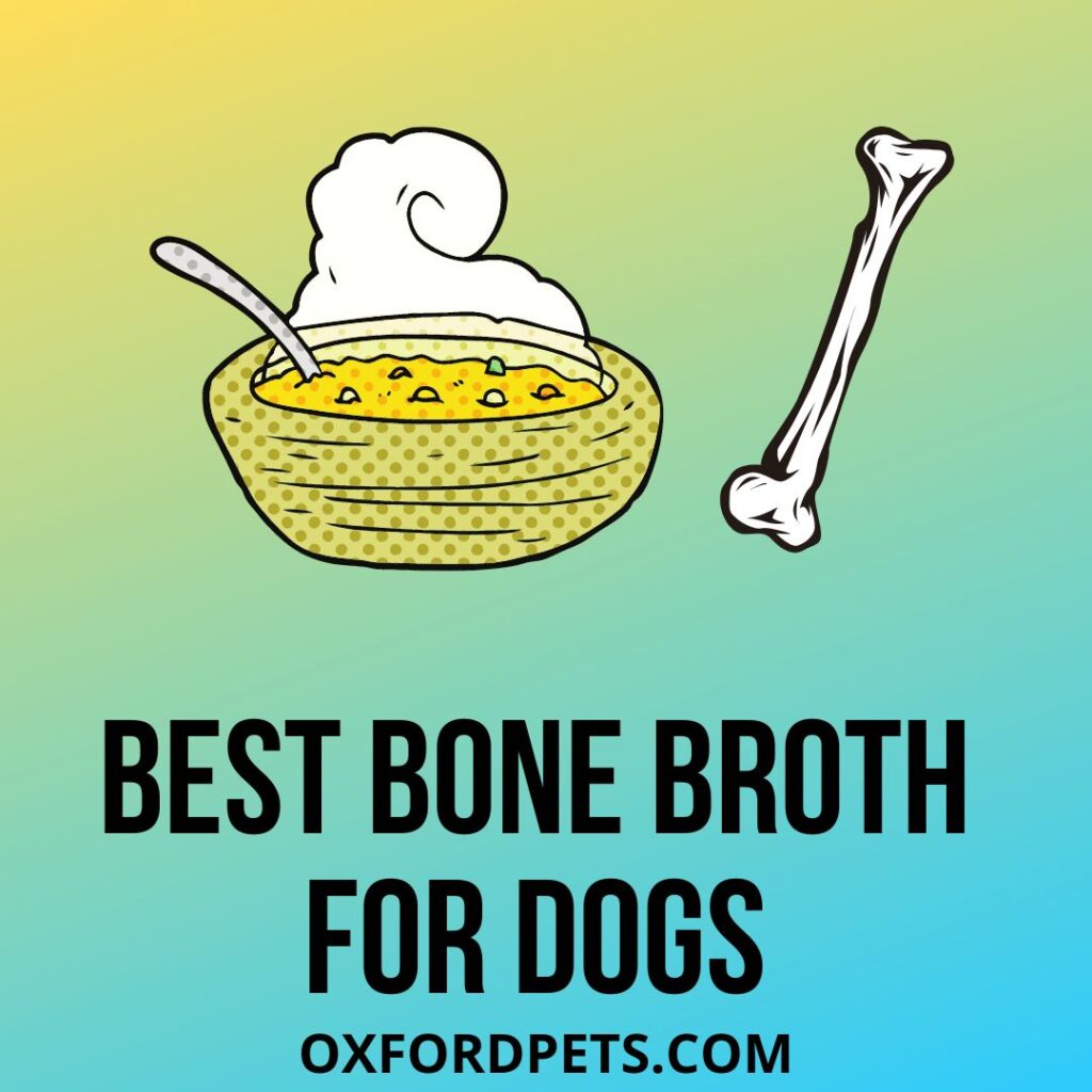 Best Bone Broth For Dogs