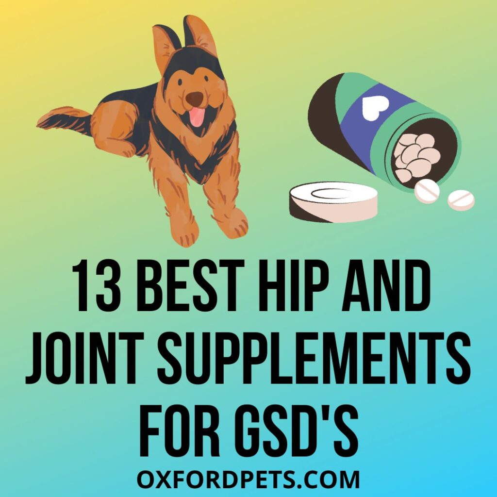13 Best Hip And Joint Supplement For German Shepherd