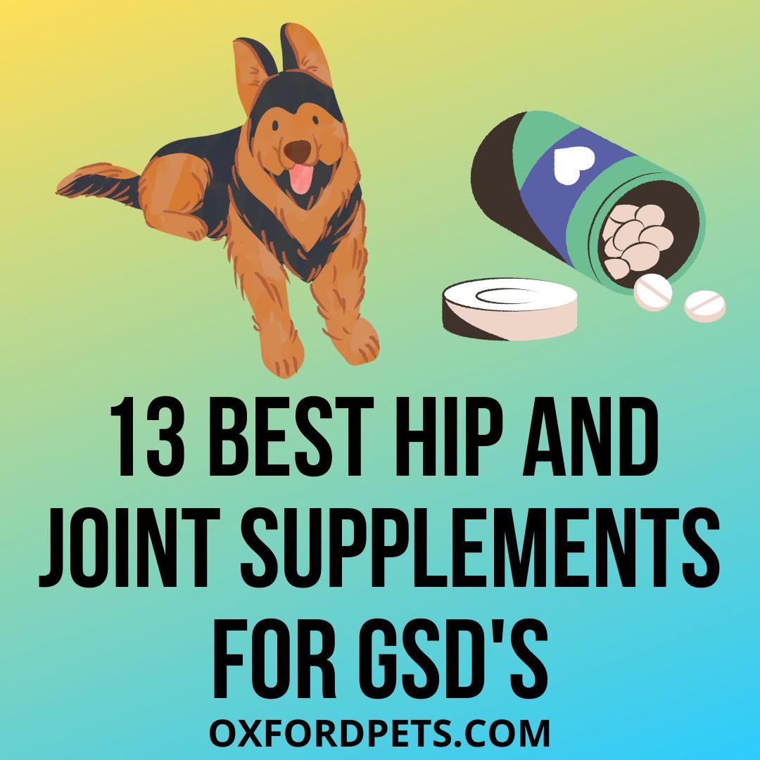 13 Best Hip And Joint Supplement For German Shepherd