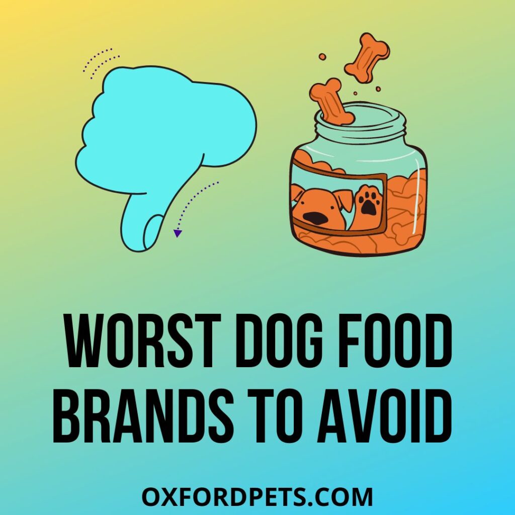Worst Dog Food Brands To Avoid
