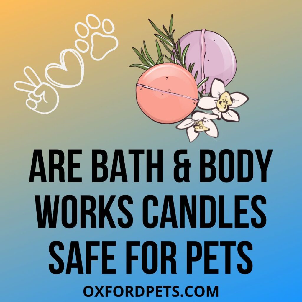Are Bath And Body Works Candles Safe For Cats And Dogs