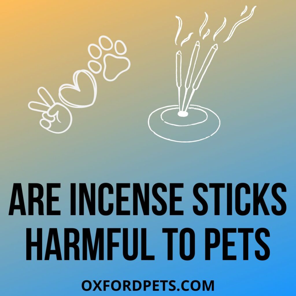 Incense Sticks Harmful To Pets