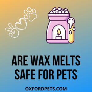 Are Wax Melts Safe For Pet Cats And Dogs