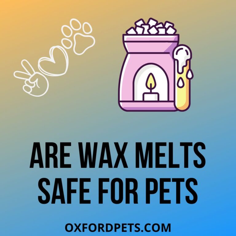 Are Wax Melts Safe For Pet Cats And Dogs? 5 Pet Safe Wax Melts Oxford