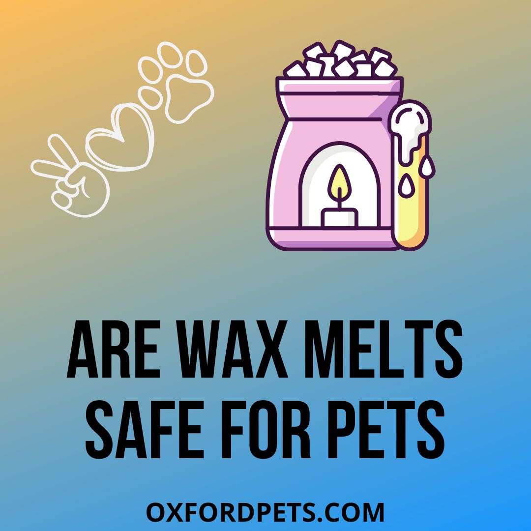 Are Wax Melts Safe For Pet Cats And Dogs? 5 Pet Safe Wax Melts Oxford