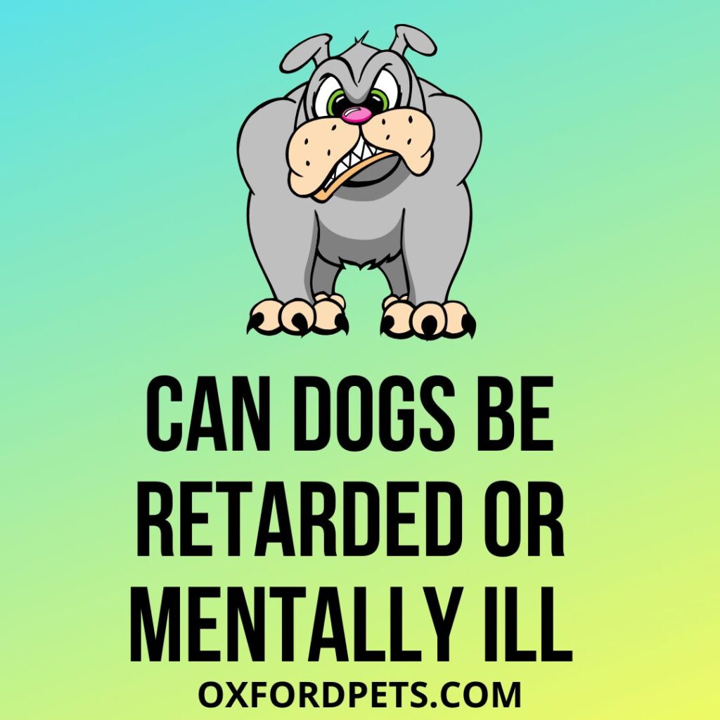 Can Dogs Be Retarded Or Mentally ill