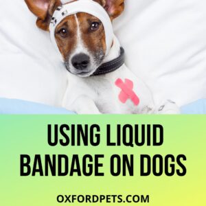 Can You Use Liquid Bandage On Dogs