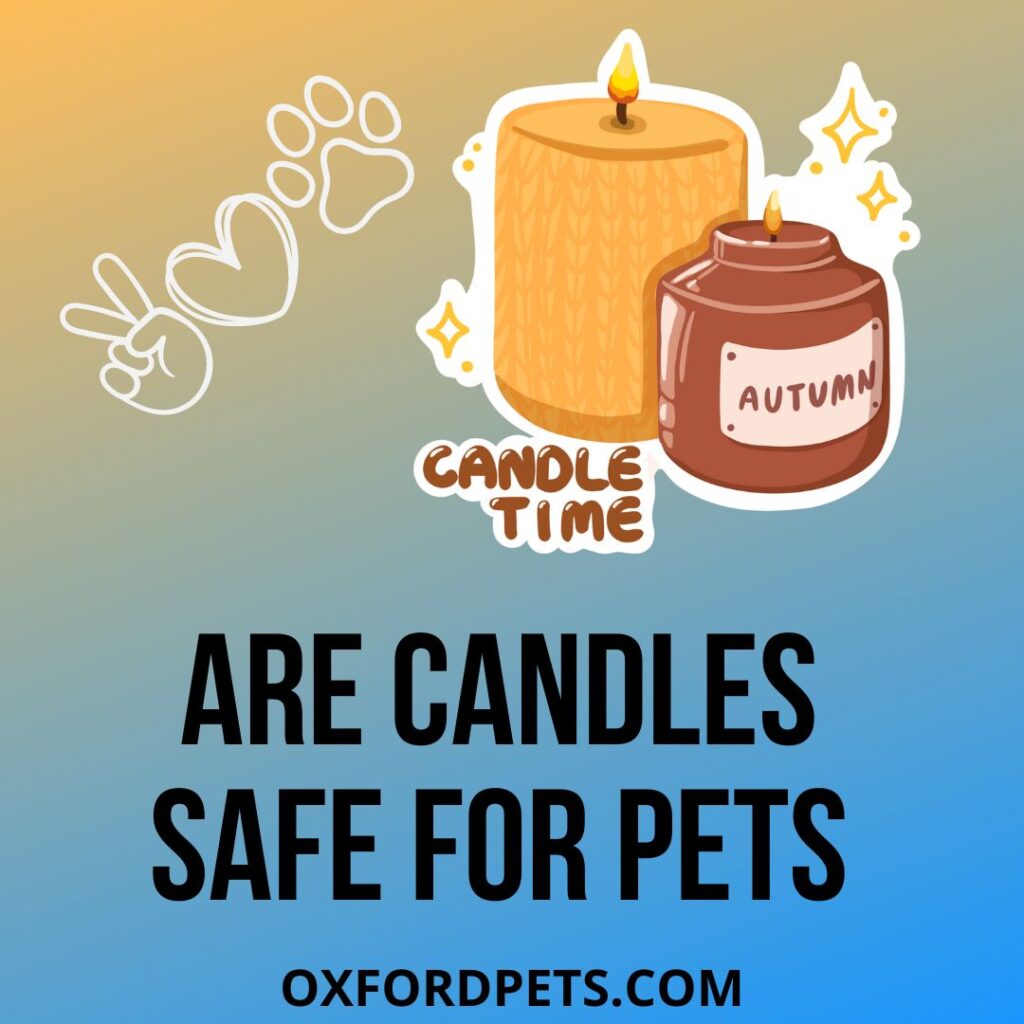 Are Candles Safe for Pets? (Candle Safety 101) Oxford Pets