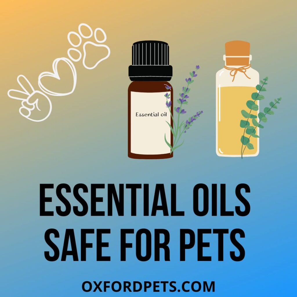 Essential Oils Safe for Pets (Safety Tips)