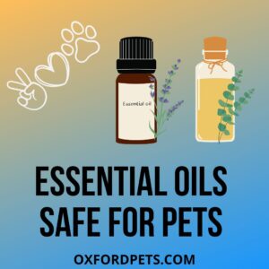 Essential Oils Safe for Pets (Safety Tips)