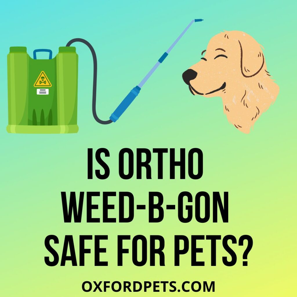 Is Ortho Weed-b-gon Safe For Pets