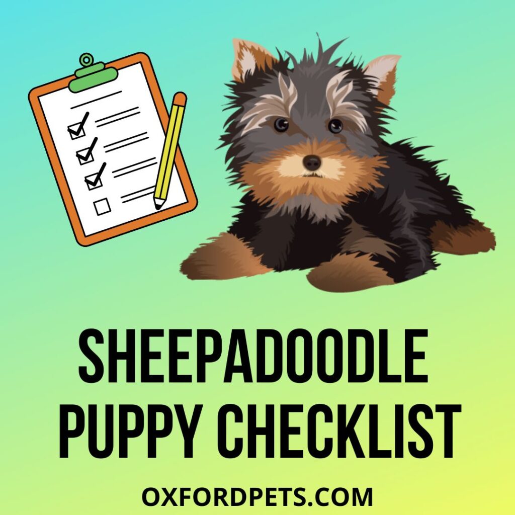 Sheepadoodle Puppy Checklist