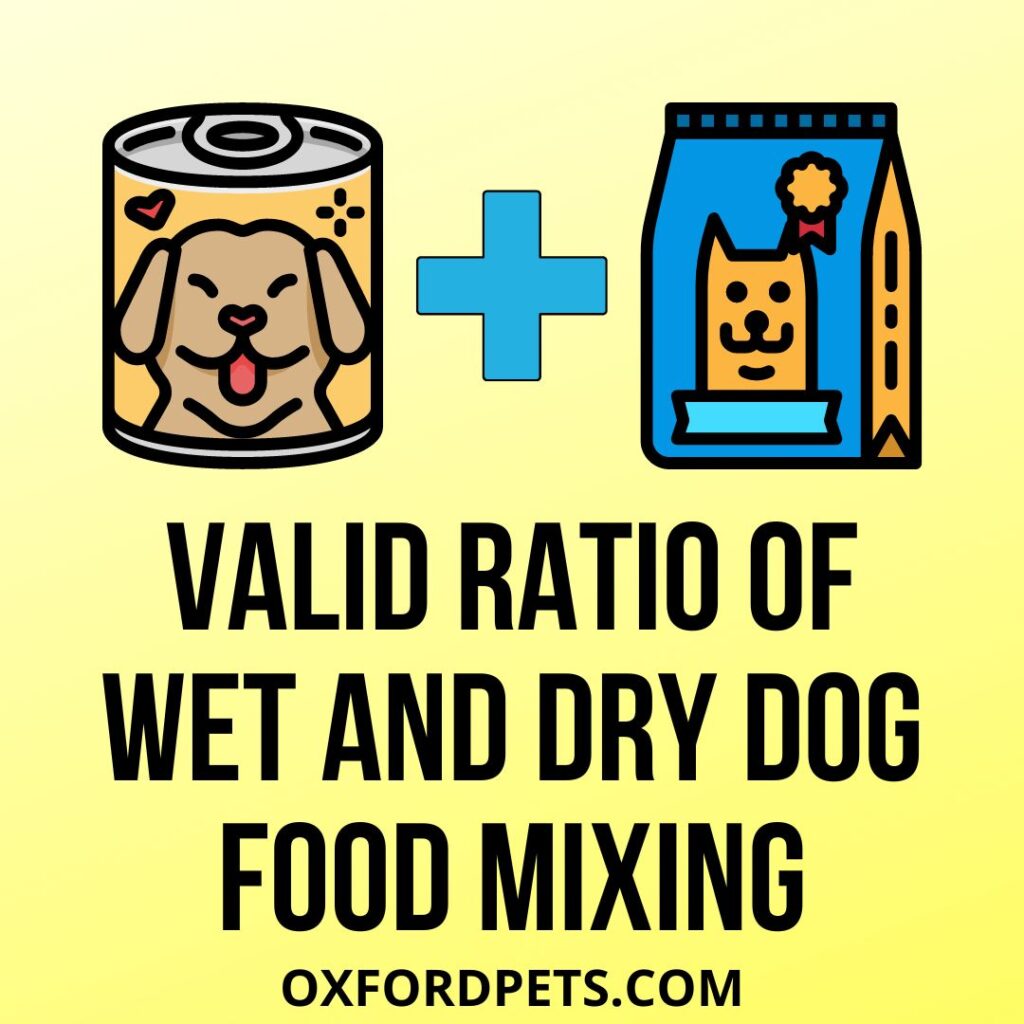 do dogs need wet and dry food