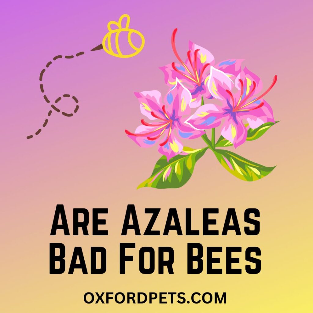 Are Azaleas Bad For Bees