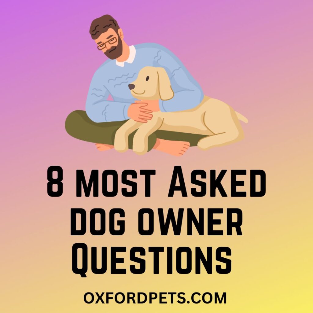 8 Commonly Asked Questions That Dog Owners Often Ask