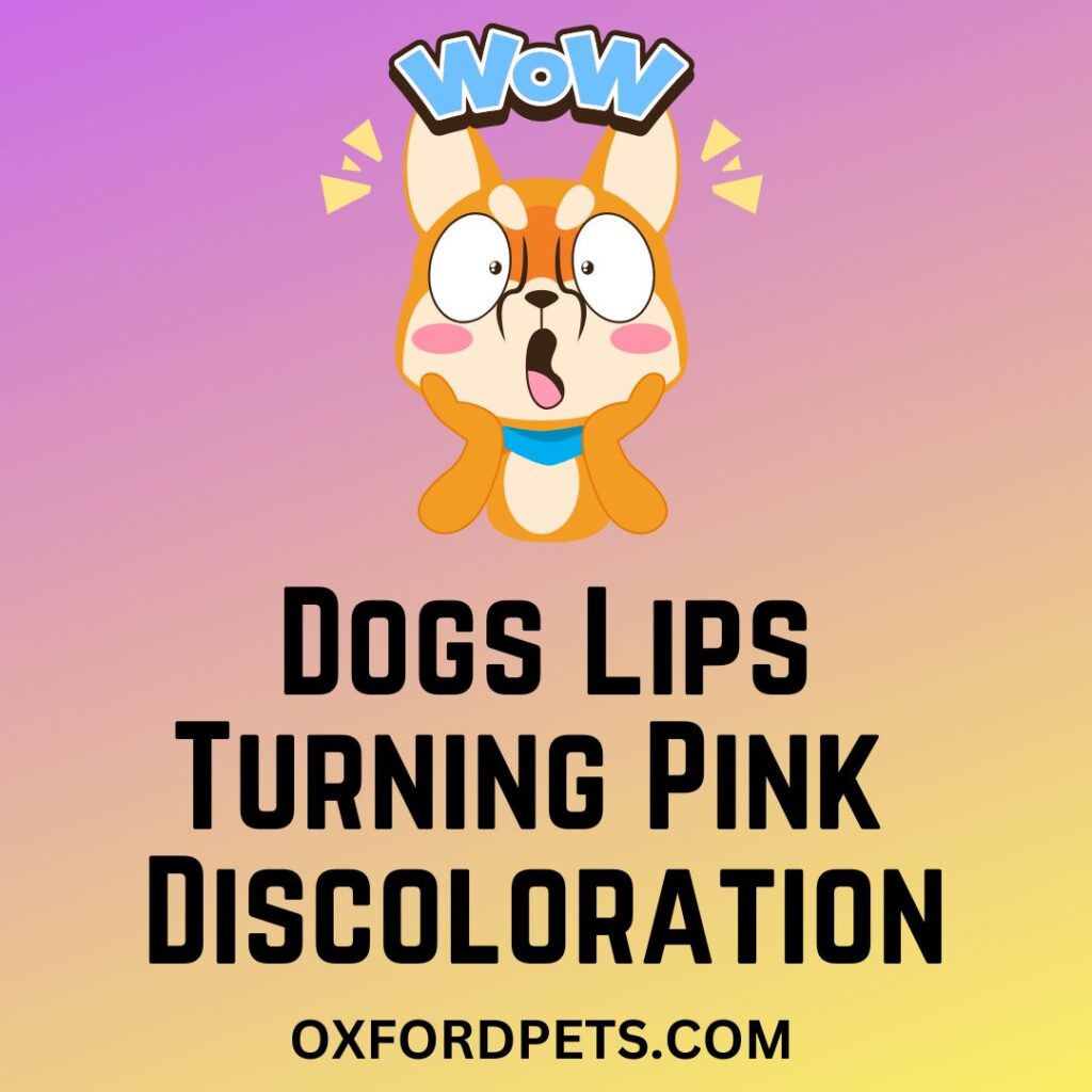 Pink Discoloration