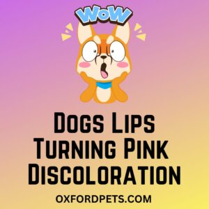 Pink Discoloration