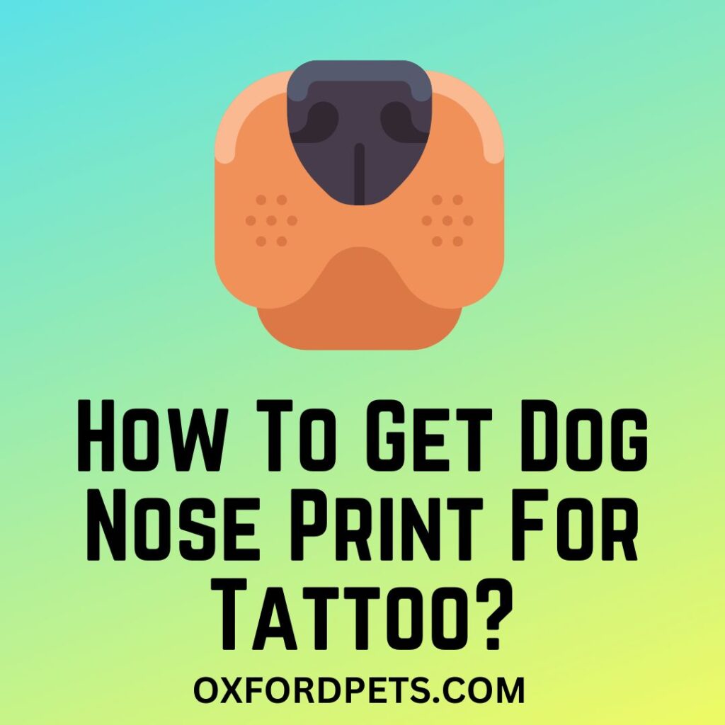 How To Get Dog Nose Print For Tattoo