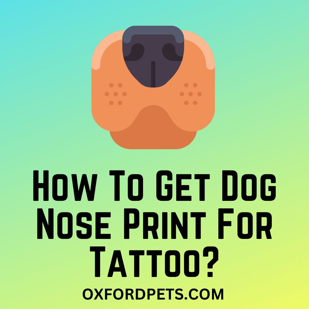 50 Best Dog Memorial Tattoo Ideas  Dog memorial tattoos Nose tattoo  Memorial tattoos