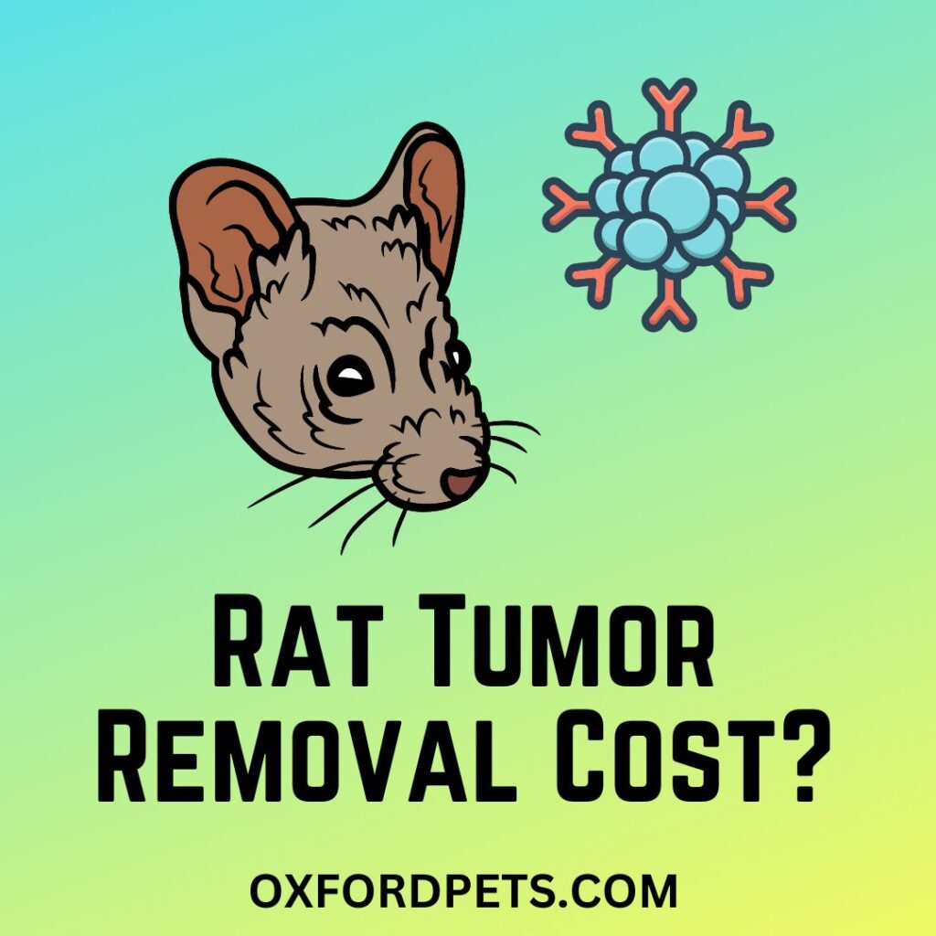 Rat Tumor Removal Cost