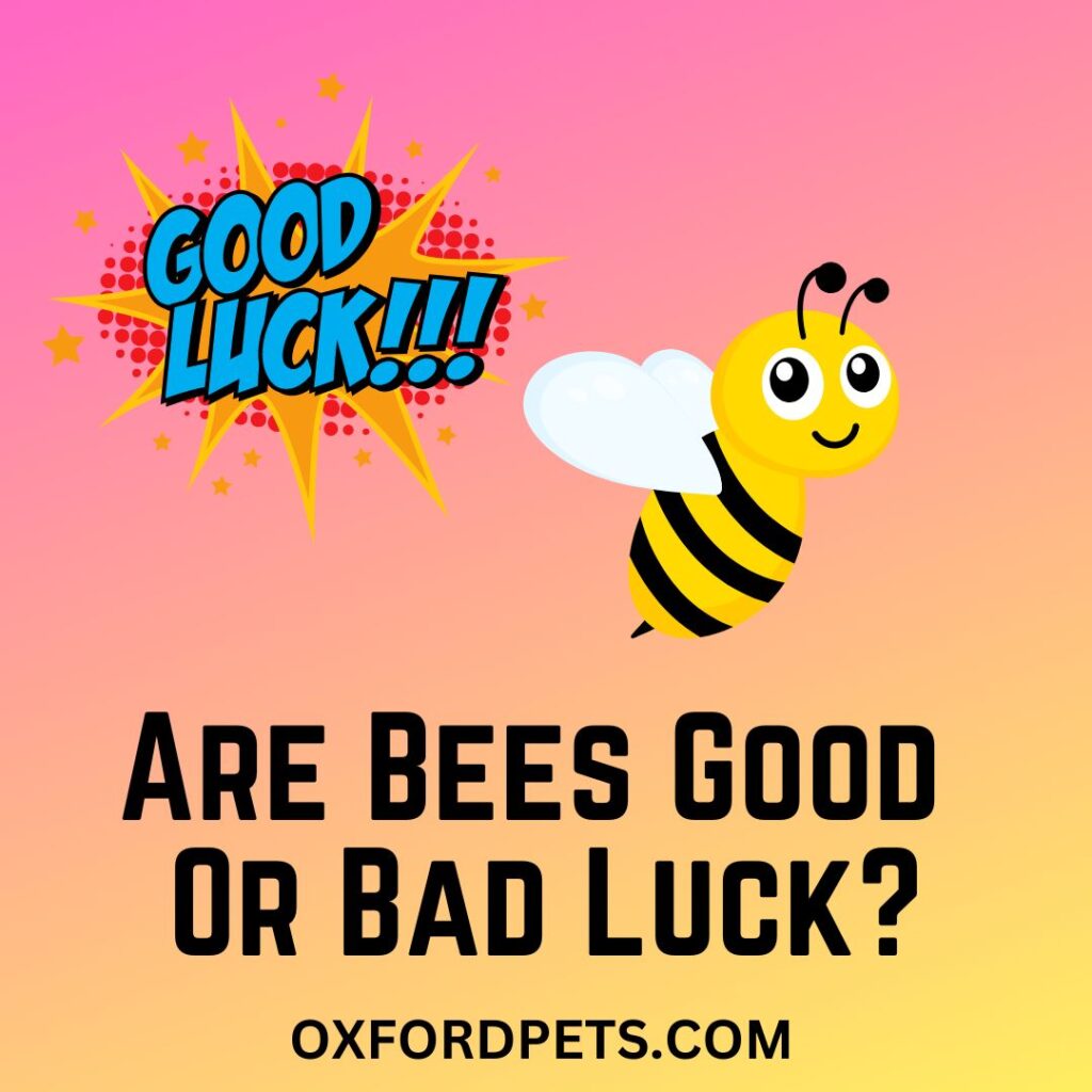 Are Bees Good Or Bad Luck