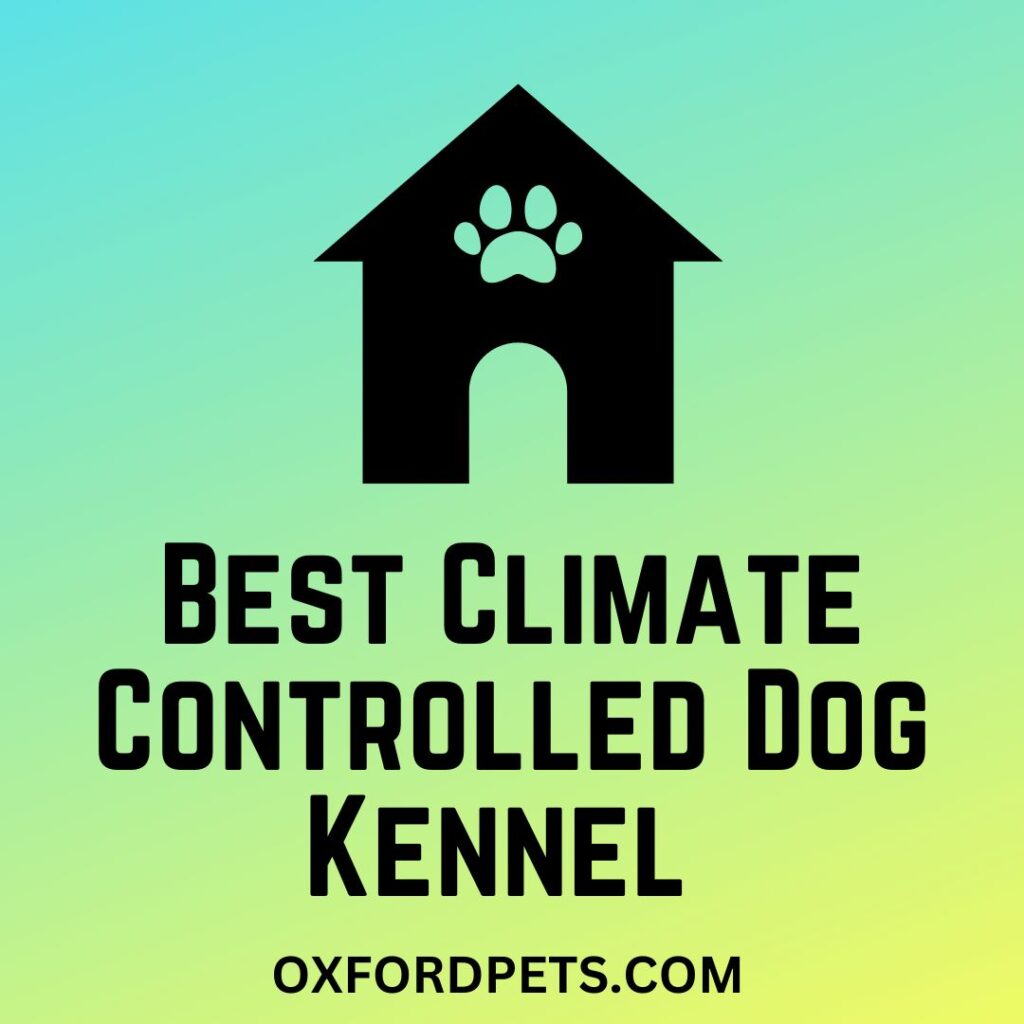 Best Climate Controlled Dog Kennel for Hot and Cold Weather
