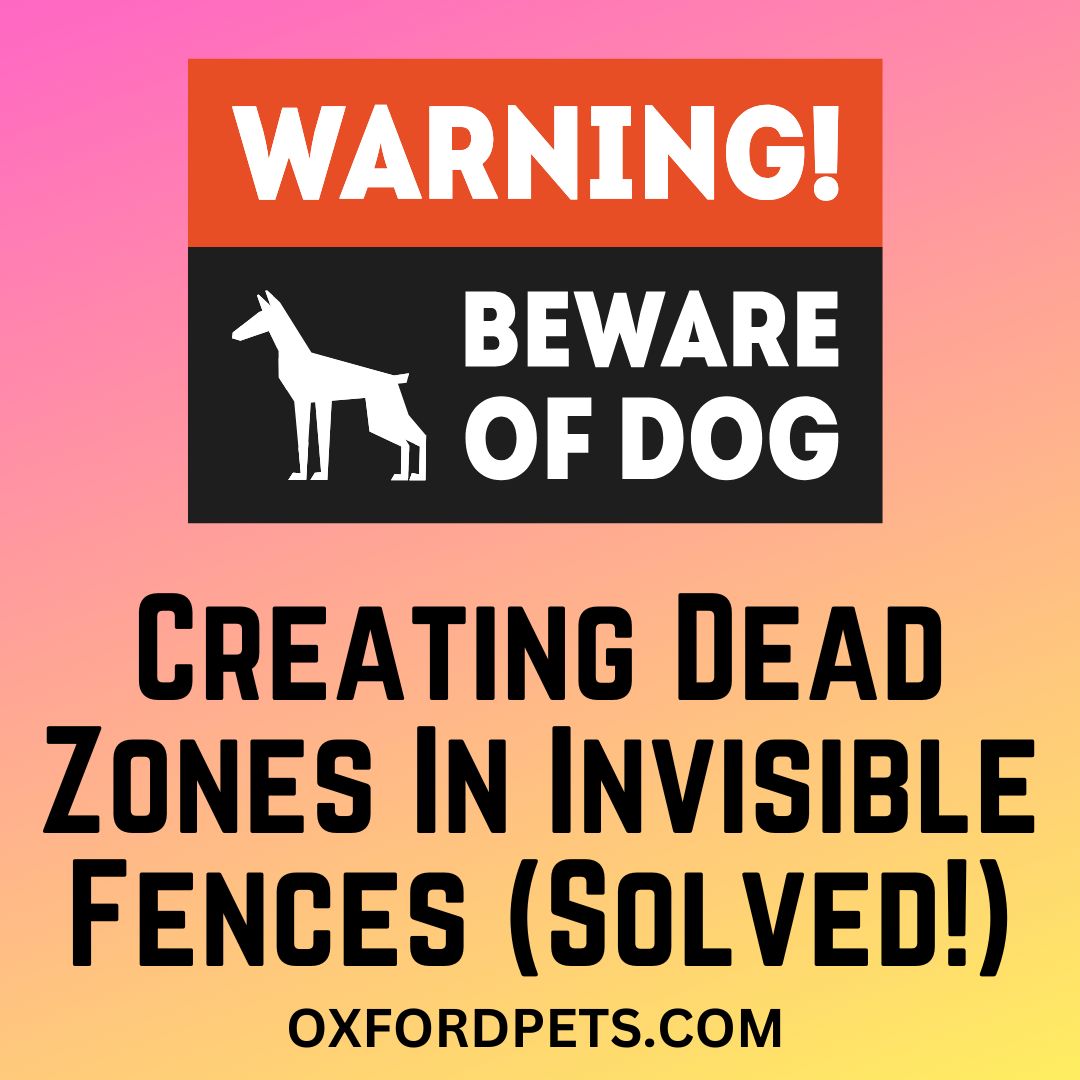 Creating Dead Zones In Invisible Fences (Solved!)