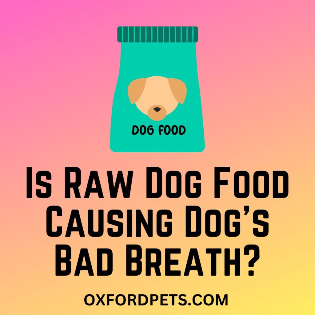 Is Raw Dog Food Causing Your Dog To Develop Bad Breath