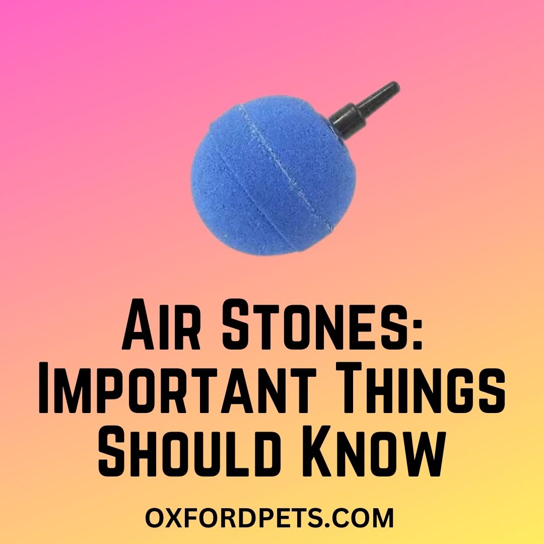 Air Stones Facts
