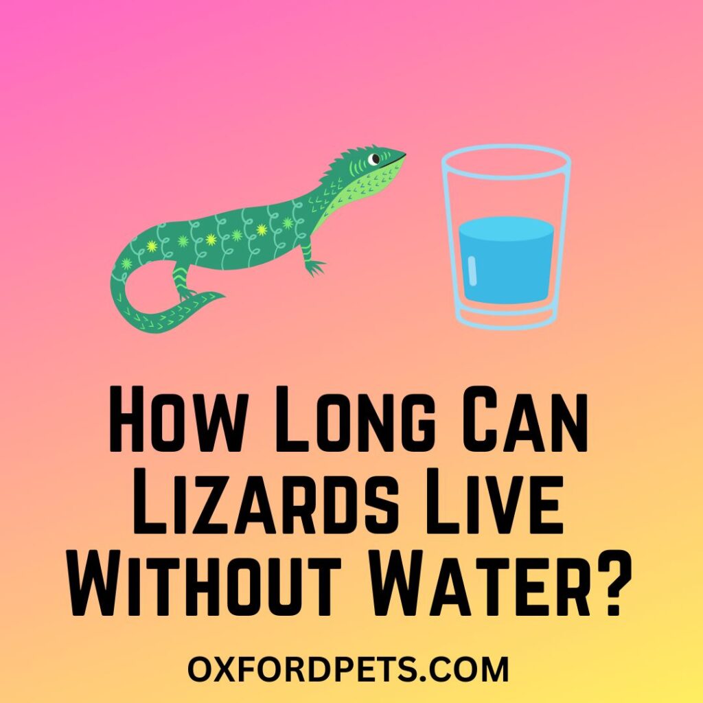 How Long Can Lizards Live Without Water