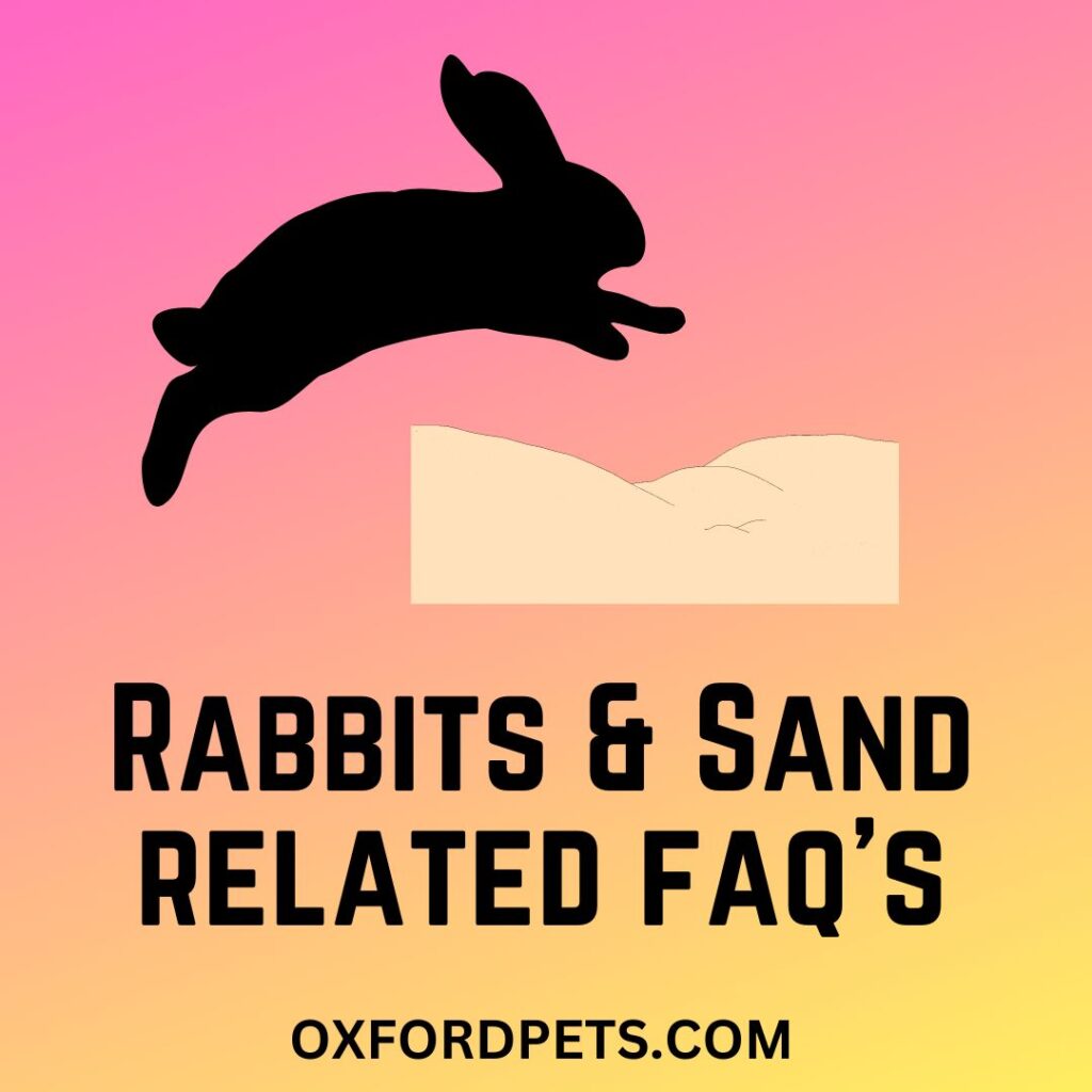 Rabbits & Sand Common Questions Answered